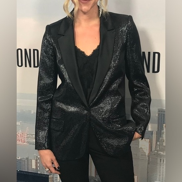 (Amazing) ZARA Sparkly Blazer - Picture 6 of 6